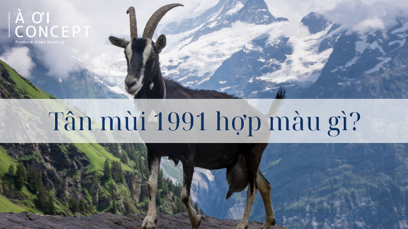 Hình ảnh phong thủy cân bằng môi trường sống cho người mệnh thổ 1991